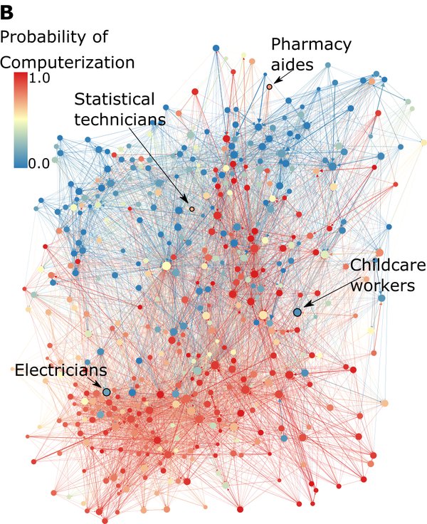 A Network Model of the Labour Market